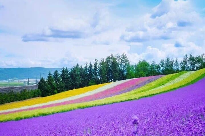 Hokkaido Farm Tomita Shikisai Hill Waterfall& Blue Pond Day Tour — photo 7