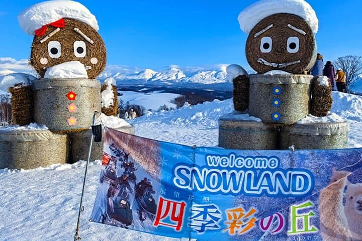 Hokkaido Farm Tomita Shikisai Hill Waterfall& Blue Pond Day Tour — photo 8