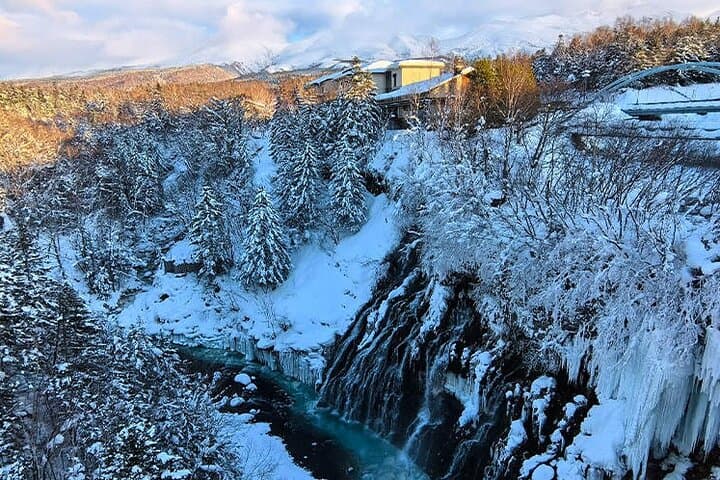 Asahiyama Zoo, Christmas Tree, Fairy Terrace Day Tour | Hokkaido — photo 4