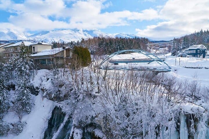 Asahiyama Zoo, Christmas Tree, Fairy Terrace Day Tour | Hokkaido — photo 5