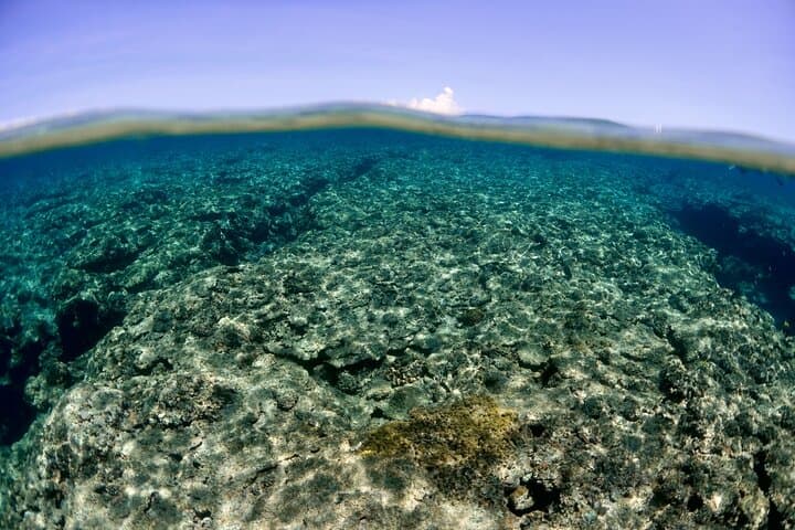 Discover Kerama Nationalparc Snorkeling 1/2 Day — photo 4
