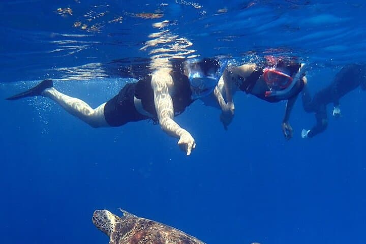 Discover Kerama Nationalparc Snorkeling 1/2 Day — photo 6