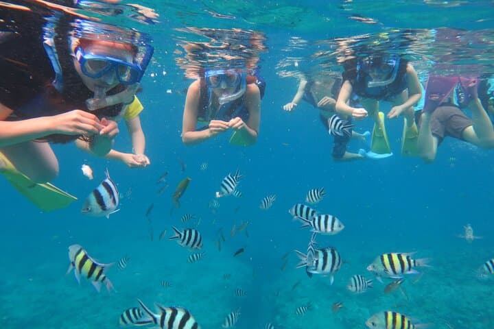 Discover Kerama Nationalparc Snorkeling 1/2 Day — photo 9