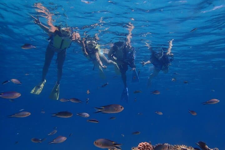Discover Kerama Nationalparc Snorkeling 1/2 Day — photo 10