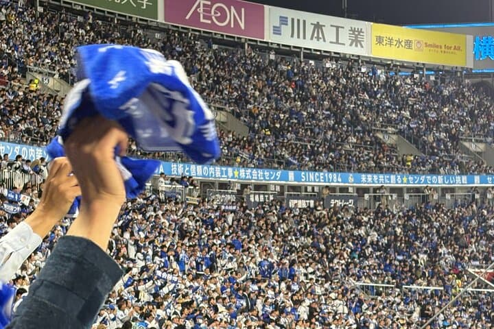 Catch a Baseball Game in Tokyo with a Local - Tickets Included — photo 4