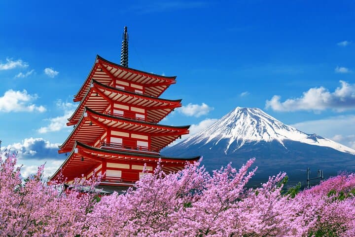 Mount Fuji Full-Day Private Customized Luxury Tour English Guide — photo 4