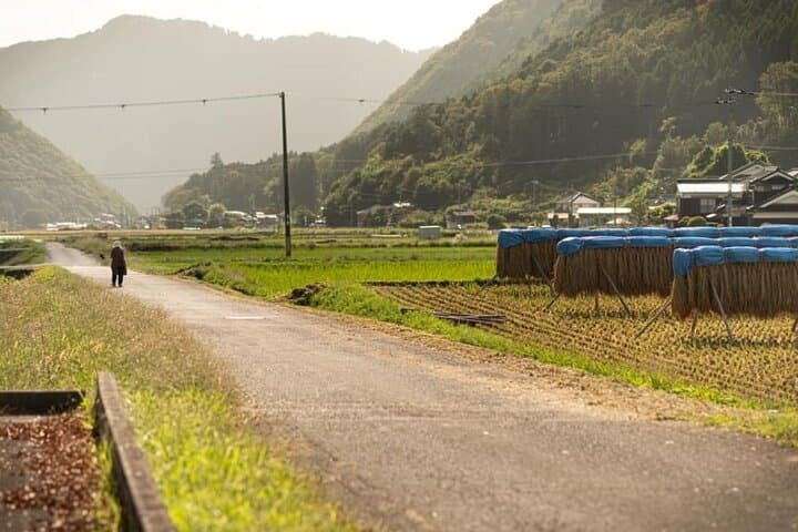 e-Bike Tour in the Shisō Region with Lunch at a Sake Brewery — photo 2