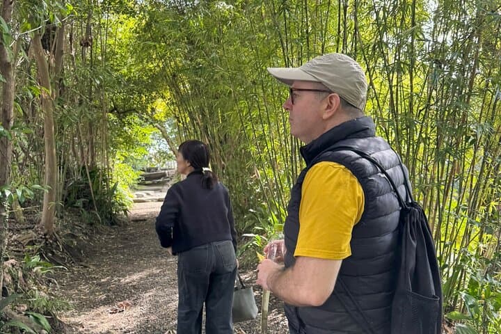 Hidden Gems of Kagoshima: Small-Group Zen Walking Tour — photo 12