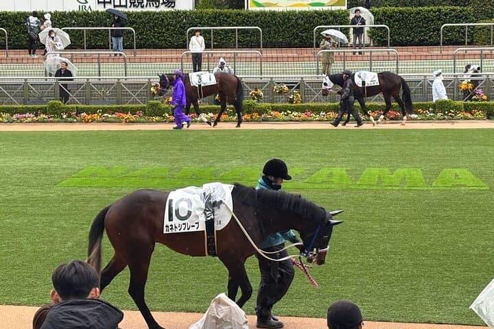 Horse Racing Tour with Local Fans in Tokyo, Oi Racecourse — photo 6