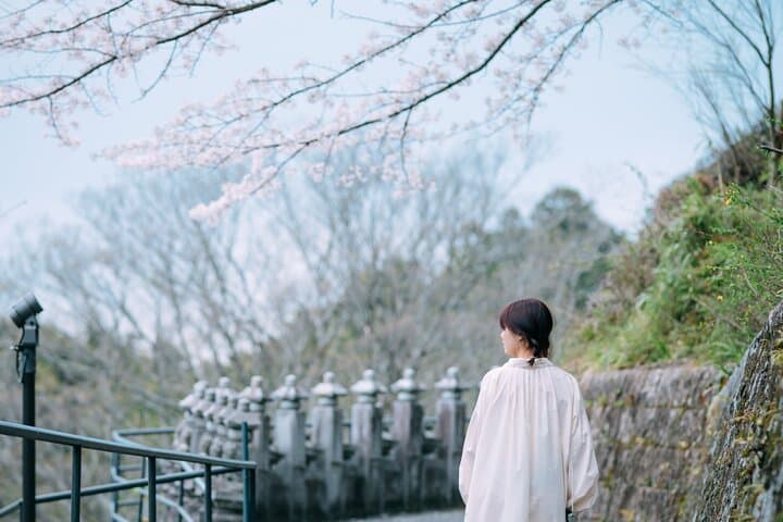 Discover the Timeless Charm and Natural Beauty of Nara — photo 7