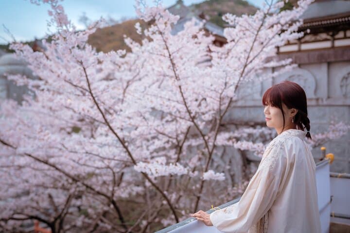 Discover the Timeless Charm and Natural Beauty of Nara — photo 8