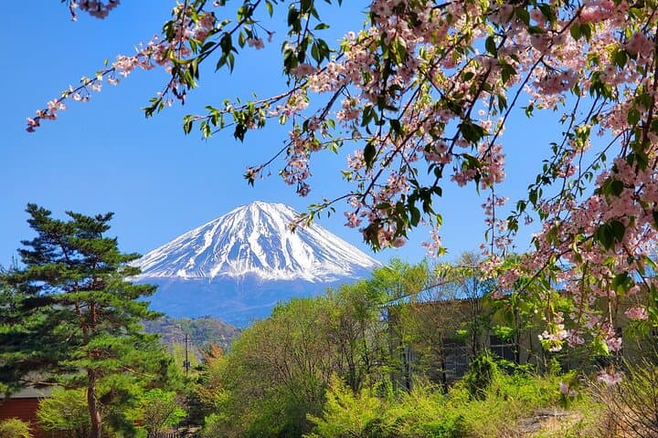Mount Fuji Full-Day Private Tour from Tokyo (Customizable) — photo 4