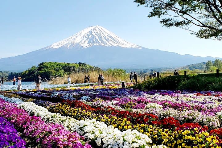 Mount Fuji and Hakone Private Tour from Tokyo (Customizable) — photo 2