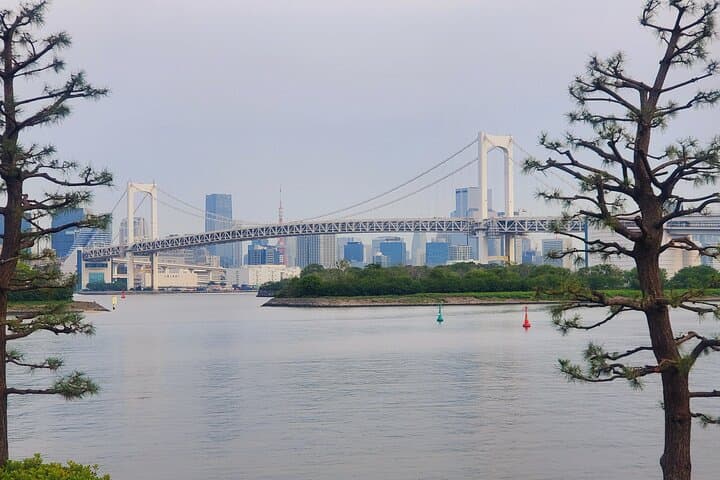 Tokyo Full-Day Private Tour (Customizable) — photo 17
