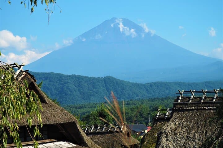 Tokyo: Mt.Fuji & Lake Kawaguchiko 1-Day Bus Tour w/Optional Lunch — photo 10