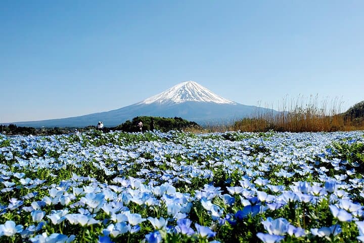 3 Days, 1. Tokyo, 2.Mt. Fuji & 3. Hakone Private Tour from Tokyo — photo 2
