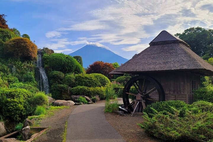 Tokyo: Mt. Fuji, Oshino Hakkai and Gotemba Outlets 1-Day Bus Tour — photo 16