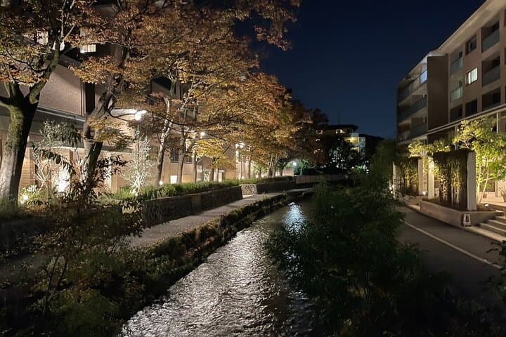 eBike Tour‐Tokyo Odyssey: From Geisha Roots to Sumo & Neon Future — photo 12