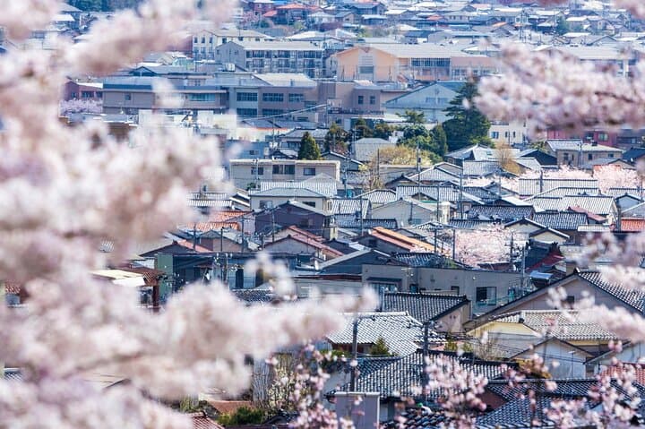 Kanazawa Like a Local: Private & Personalized Experience 2-3 hrs — photo 3