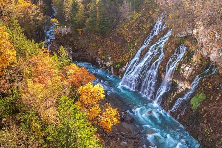 Asahiyama Zoo, Shirahige Falls, Biei, and Blue Pond Day Tour — photo 9