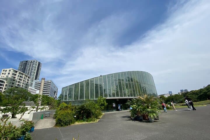 Discover the History of Shinjuku Gyoen – Private Walking Tour — photo 8