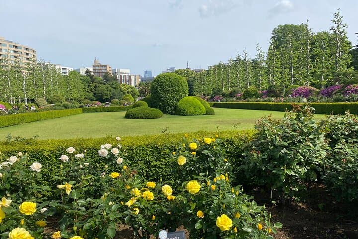 Discover the History of Shinjuku Gyoen – Private Walking Tour — photo 13