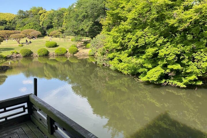 Discover the History of Shinjuku Gyoen – Private Walking Tour — photo 9