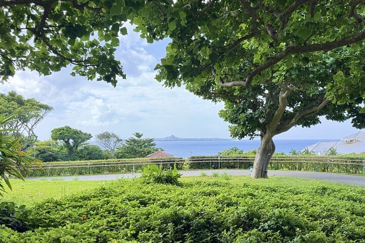 Customizable Okinawa Beach Nature and History Trail Tour — photo 4