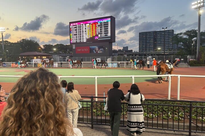 Horse Racing Tour with Local Fans in Tokyo, Oi Racecourse — photo 3
