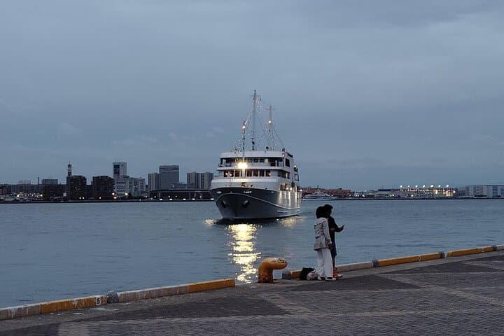 Kobe: Glamorous Harbor Lights & Tower Panorama — photo 7