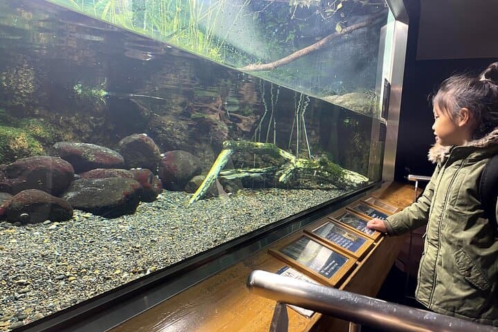 Kichijoji Family Adventure –4-Hour Custom Private Tour — photo 10
