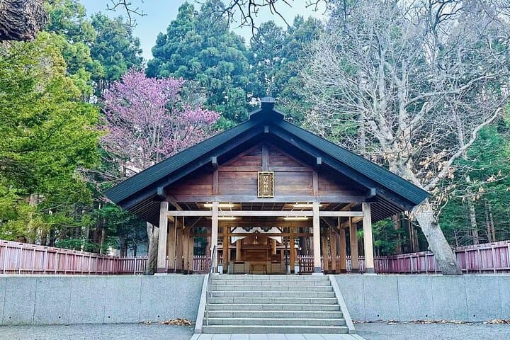 Sapporo Hidden Gems Walking Tour: Hokkaido Shrine, Mt.Moiwa, Cafe