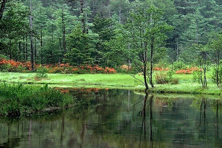 Japan Alps [Kamikochi Day Tour]｜Roundtrip from Nagoya — photo 7