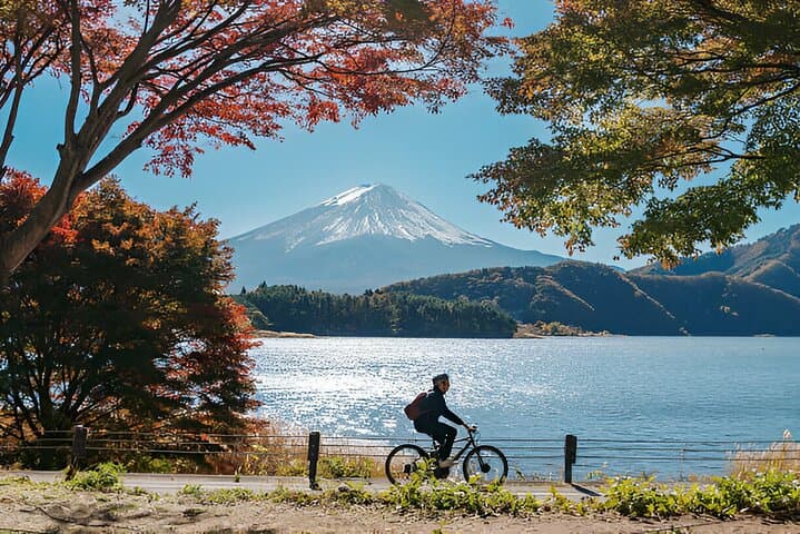 Fuji Five Lakes Guided Day Trip — photo 1
