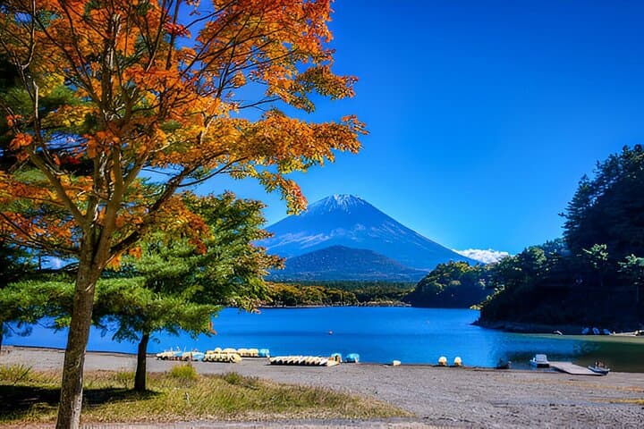 Fuji Five Lakes Guided Day Trip — photo 13