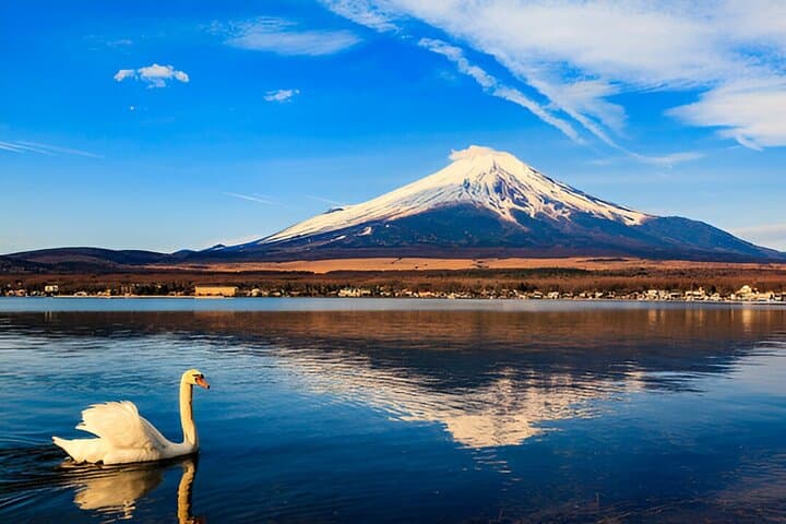 Fuji Five Lakes Guided Day Trip — photo 7