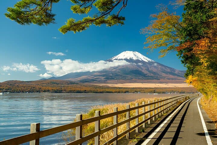 Fuji Five Lakes Guided Day Trip — photo 9