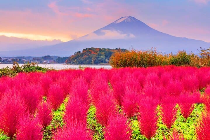 Mount Fuji Tour, Ladder Town, Oshino Hakkai and Lawson store — photo 2