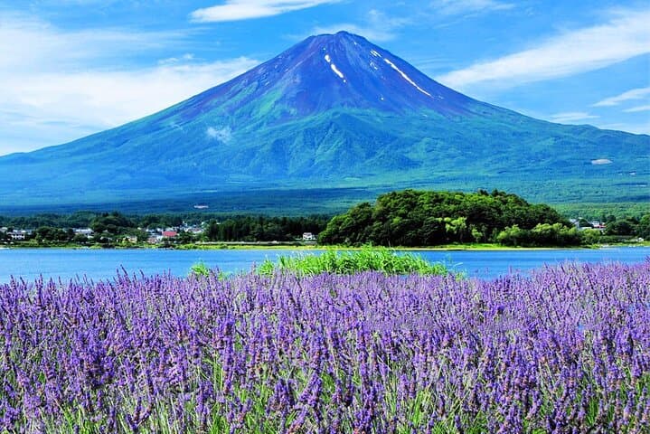Mount Fuji Tour, Ladder Town, Oshino Hakkai and Lawson store — photo 3
