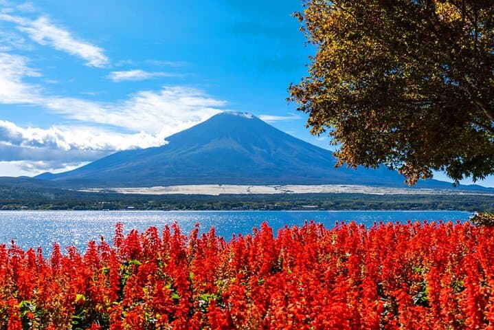 Mount Fuji Tour, Ladder Town, Oshino Hakkai and Lawson store — photo 5