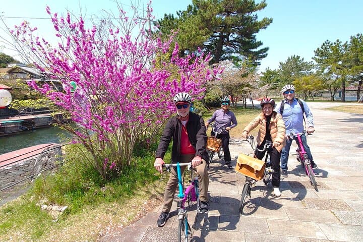 Slow Cycling Tour at Uji's Matcha Green Tea Fields and Heritage — photo 19