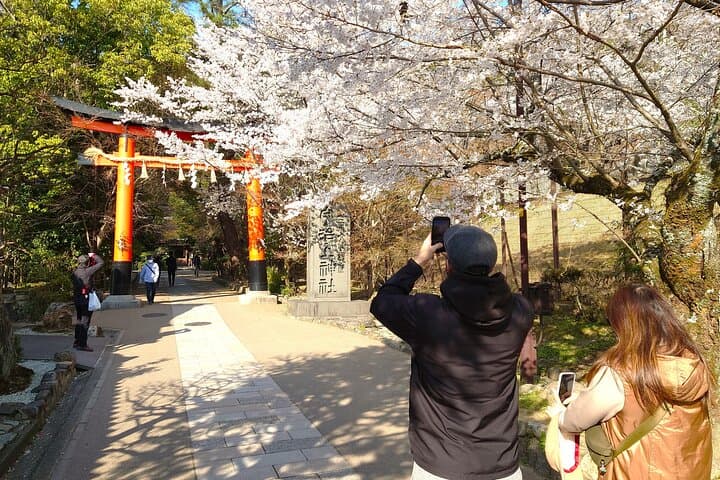 Slow Cycling Tour at Uji's Matcha Green Tea Fields and Heritage — photo 18