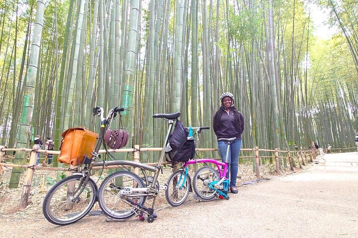 Kyoto: Arashiyama Guided Slow Cycling Tour — photo 11