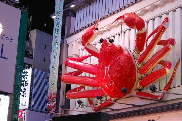 Osaka: Enjoy Street Food & Shopping in Dotonbori — photo 6