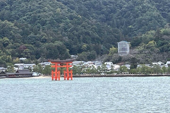 Private Guided Tour to Miyajima from Osaka or Kyoto — photo 3