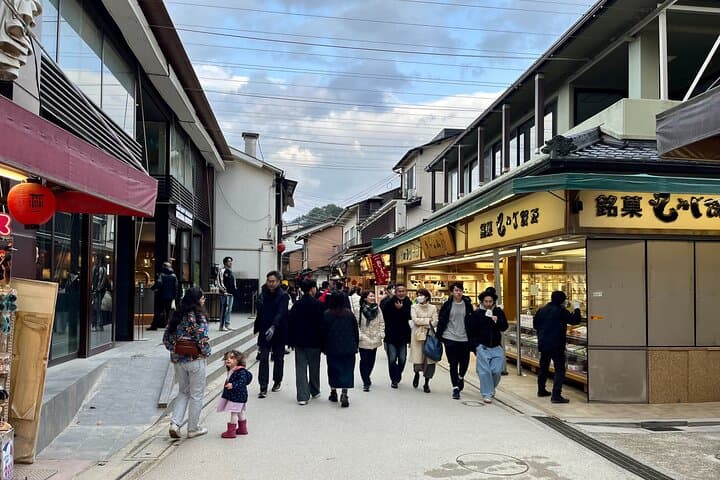 Private Guided Tour to Miyajima from Osaka or Kyoto — photo 13
