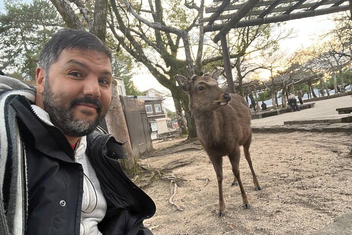 Private Guided Tour to Miyajima from Osaka or Kyoto — photo 18