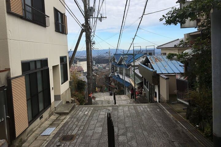 Half-Day Private Guided Tour to Mount Ikoma — photo 2