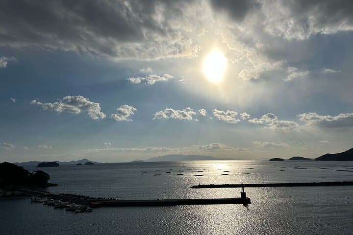 Private Himeji Drive with Fresh Oyster in Winter and Culture — photo 16