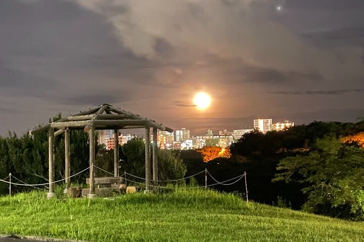 Customizable Okinawa Beach Nature and History Trail Tour — photo 10